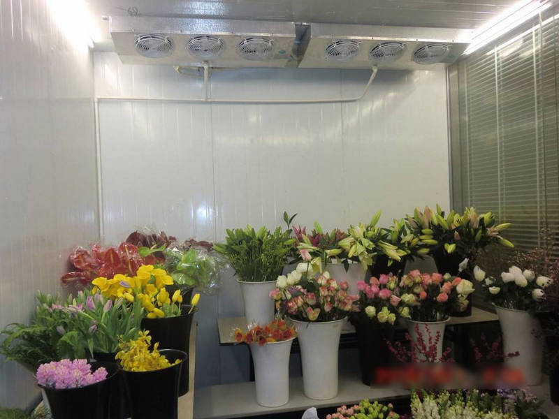 鮮花冷庫(kù)怎樣保鮮鮮花？是用風(fēng)冷還是直冷？