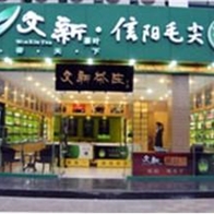 文新信陽毛尖